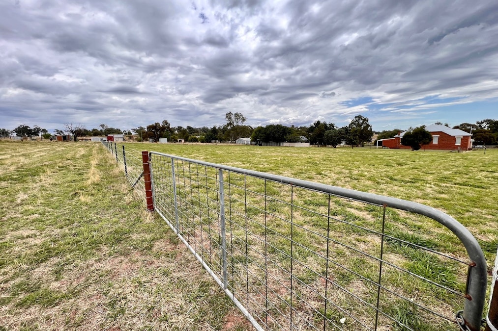 Bendick Murrell Road, Young, NSW, 2594 - Image 5