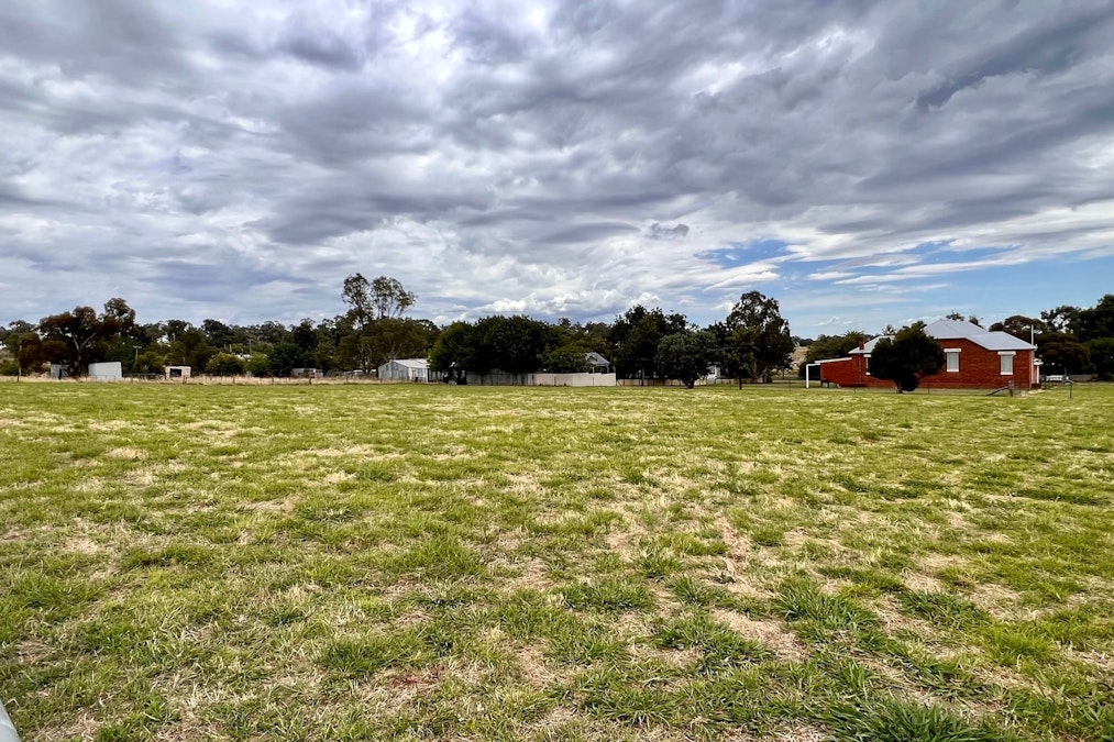 Bendick Murrell Road, Young, NSW, 2594 - Image 7