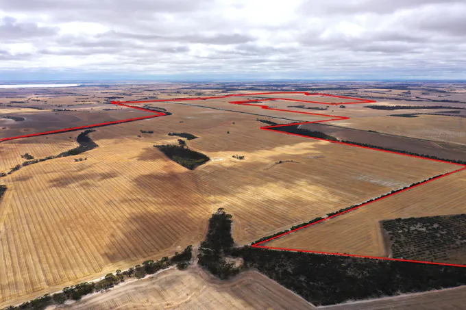 305 Leo Road, South Kukerin, WA, 6352