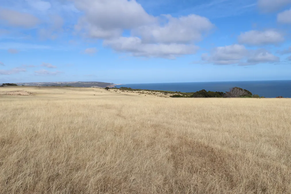 Lot 101 North Coast Road, Wisanger, SA, 5223 Sold Elders Real Estate