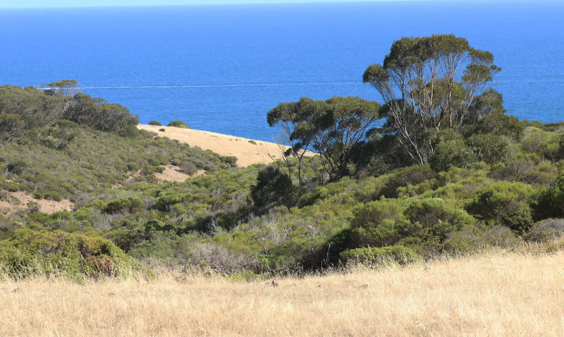 Lot 101 North Coast Road, Wisanger, SA, 5223 Sold Elders Real Estate