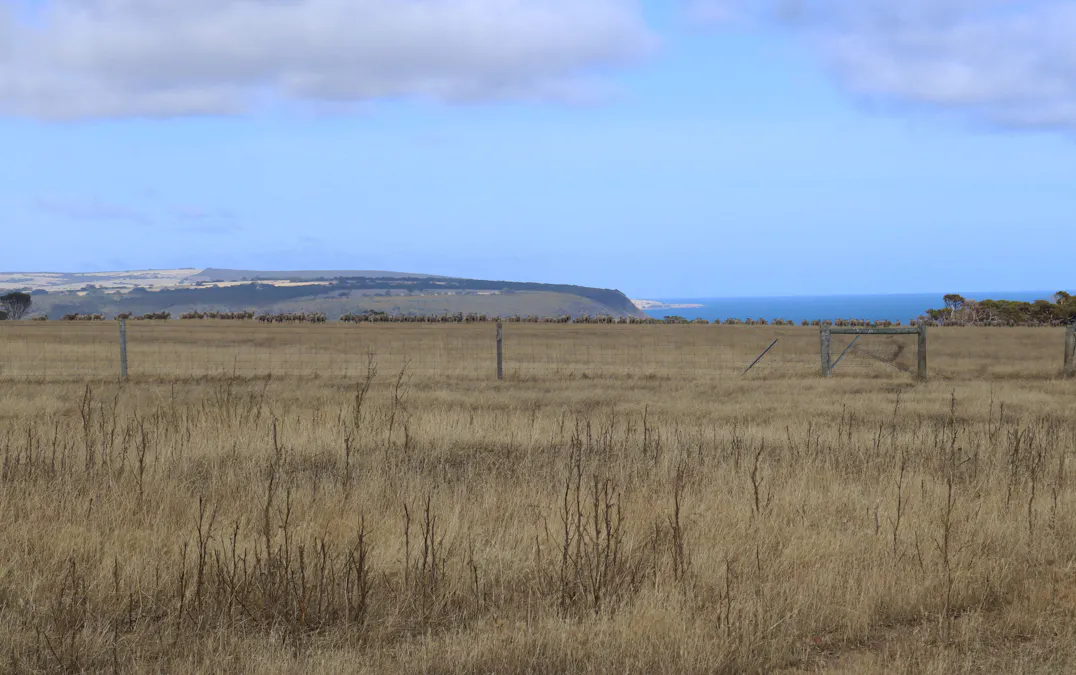 Lot 101 North Coast Road, Wisanger, SA, 5223 Sold Elders Real Estate