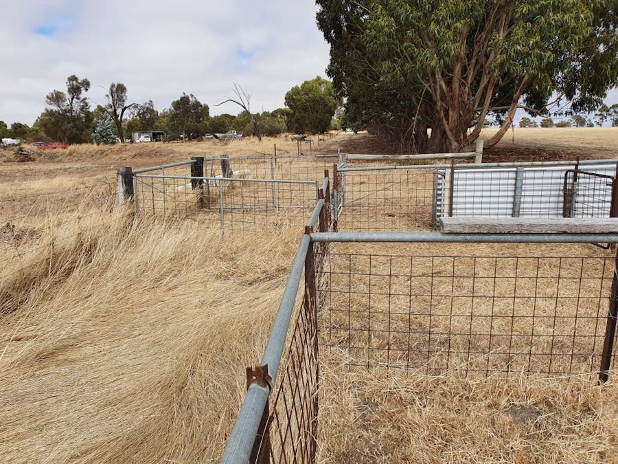 379/Spencer Road, Broomehill Village, WA, 6318 - Image 9