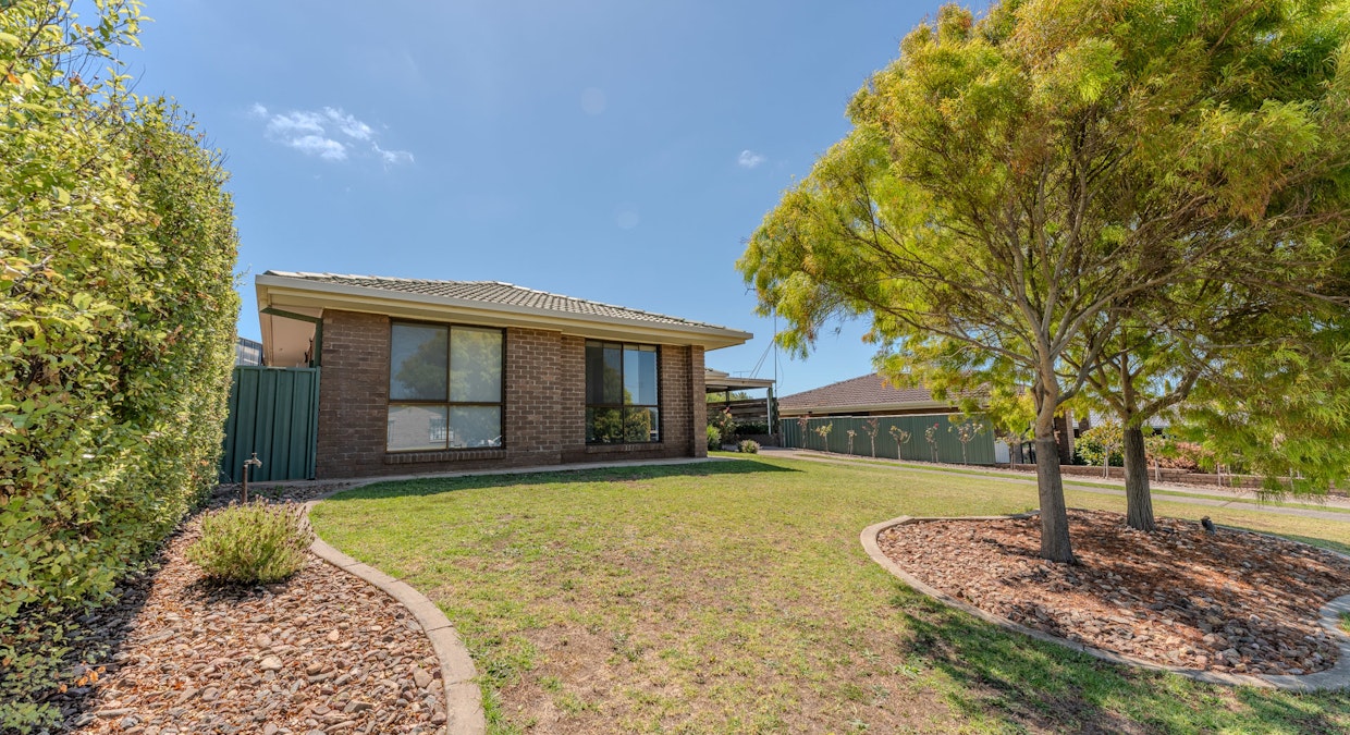 6 Duffield Place, Mount Gambier, SA, 5290 - Image 1
