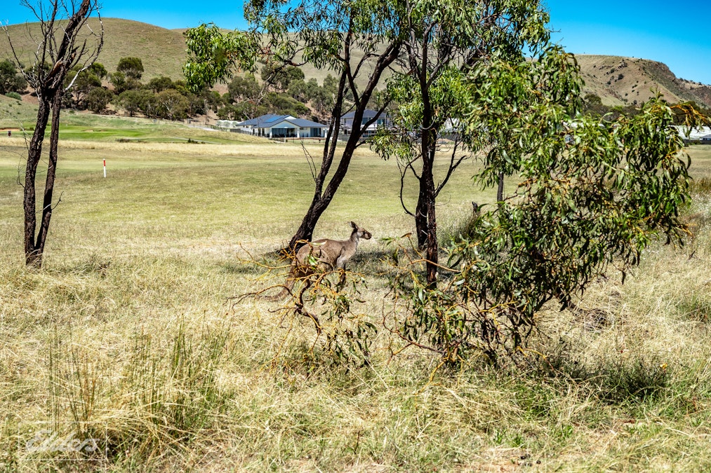 9/30 Troon Drive, Normanville, SA, 5204 - Image 30