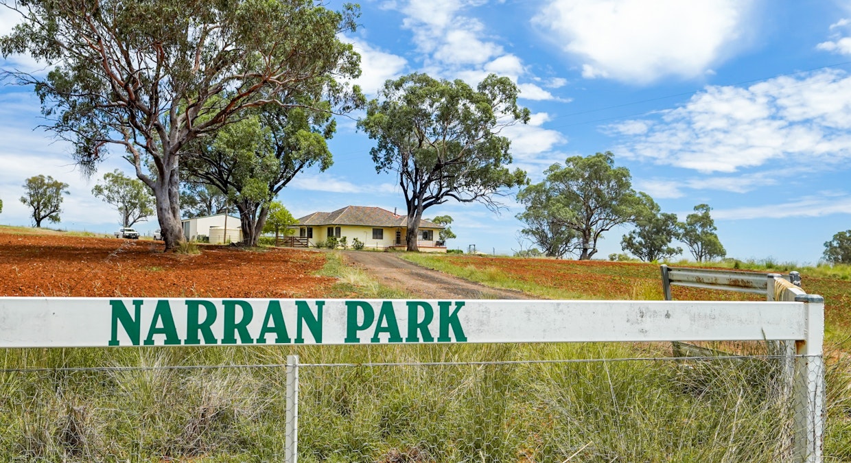 Narran Park 5455 Saxa Road, Elong Elong, NSW, 2831 - Image 12