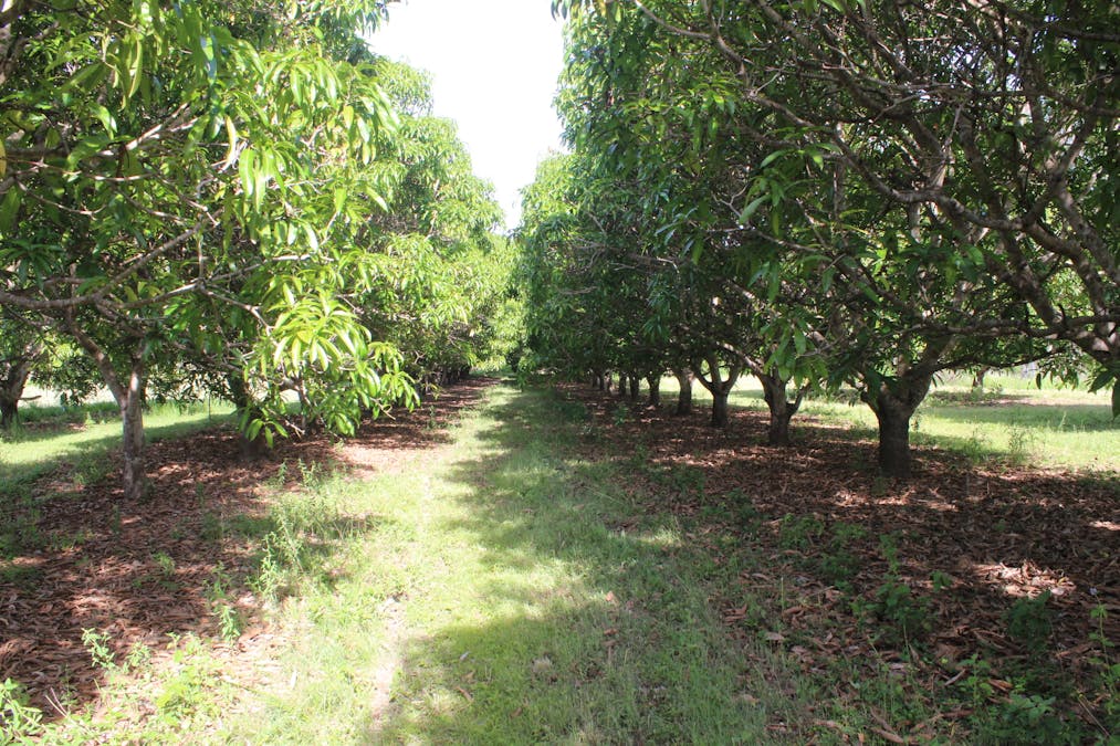 Herbert River Road, Innot Hot Springs, QLD, 4872 - Image 5