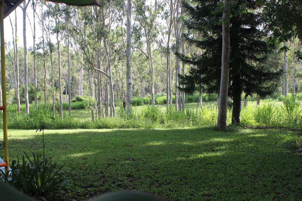 Herbert River Road, Innot Hot Springs, QLD, 4872 - Image 2