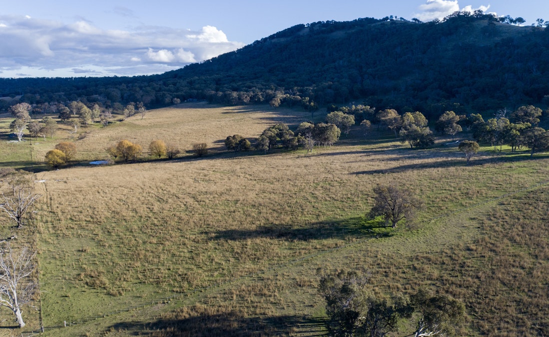 'Green Valley', Brideb Road, Bendemeer, NSW, 2355 - Image 5