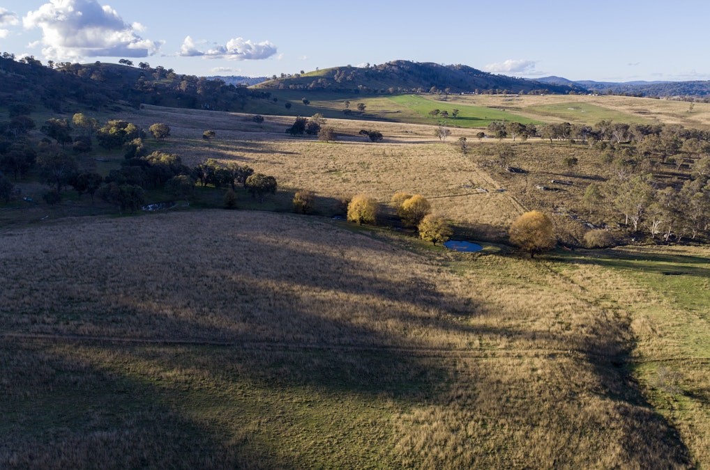 'Green Valley', Brideb Road, Bendemeer, NSW, 2355 - Image 6