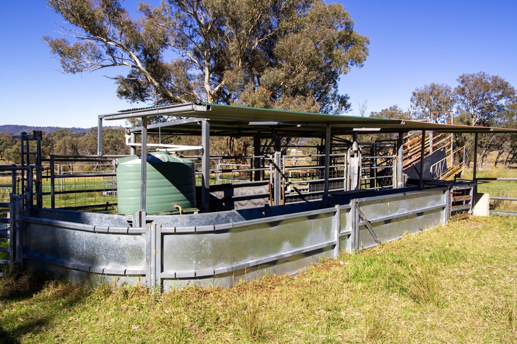 'Green Valley', Brideb Road, Bendemeer, NSW, 2355 - Image 15