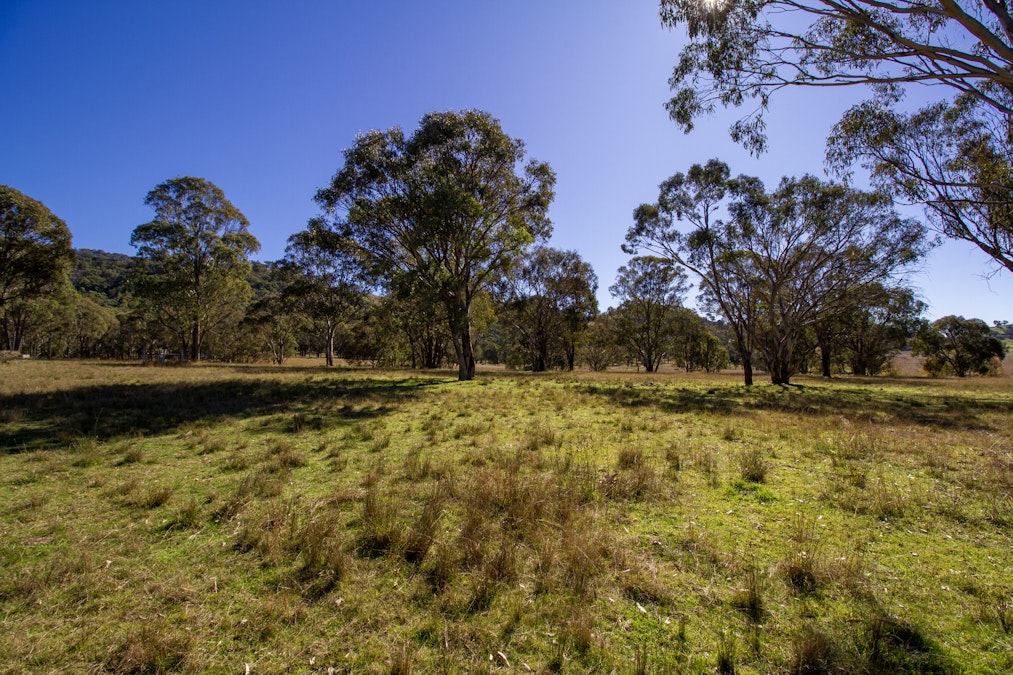 'Green Valley', Brideb Road, Bendemeer, NSW, 2355 - Image 17