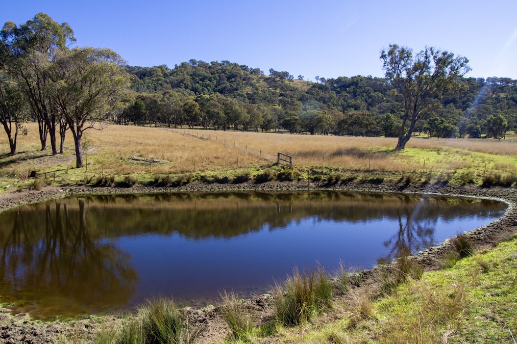 'Green Valley', Brideb Road, Bendemeer, NSW, 2355 - Image 18