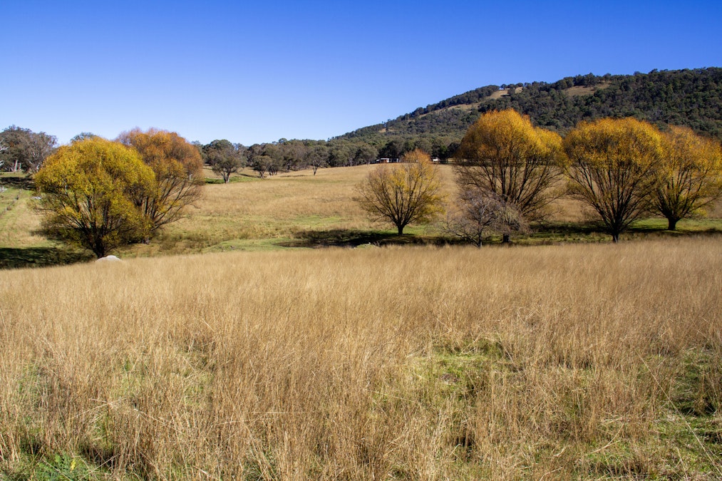 'Green Valley', Brideb Road, Bendemeer, NSW, 2355 - Image 22