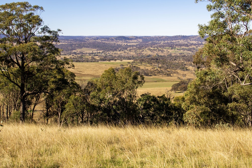 'Green Valley', Brideb Road, Bendemeer, NSW, 2355 - Image 29