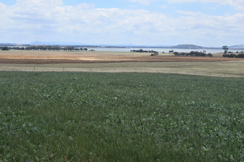785 Smarts Hill Road, Bo Peep, VIC, 3351 - Image 1