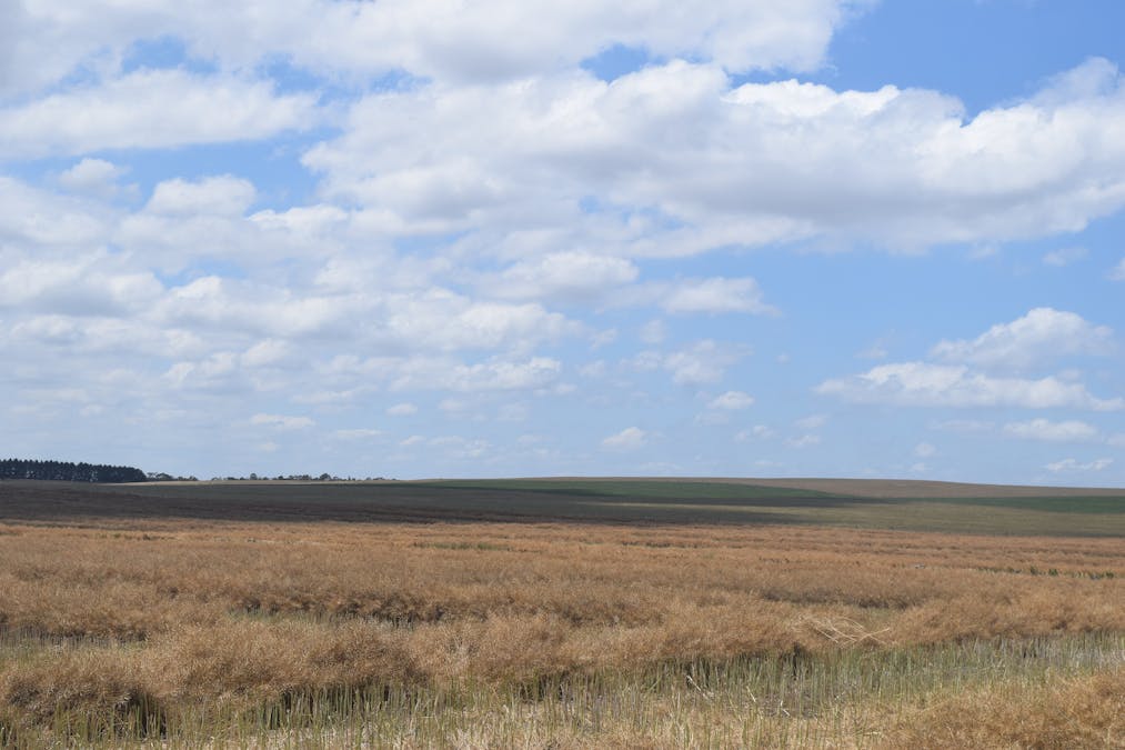 785 Smarts Hill Road, Bo Peep, VIC, 3351 - Image 4