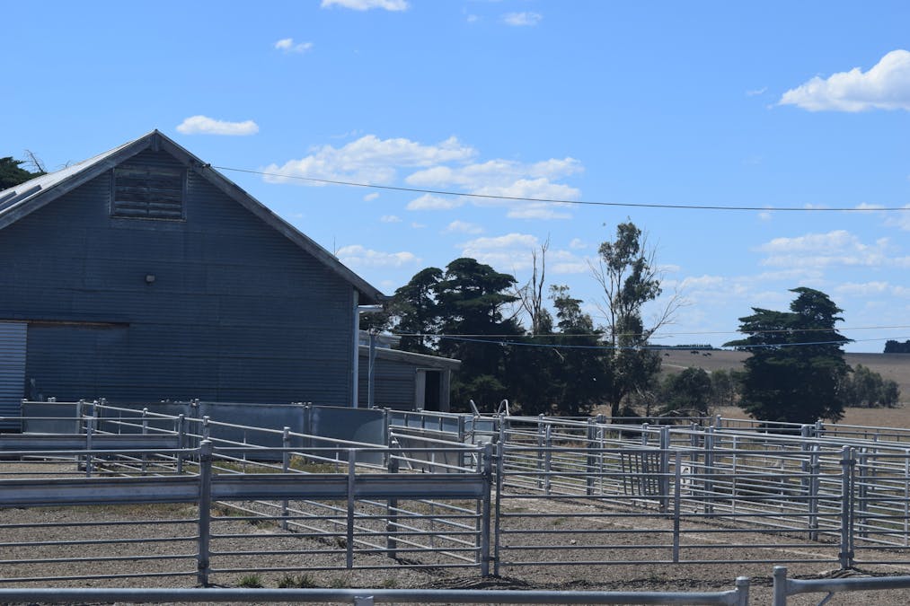 785 Smarts Hill Road, Bo Peep, VIC, 3351 - Image 12