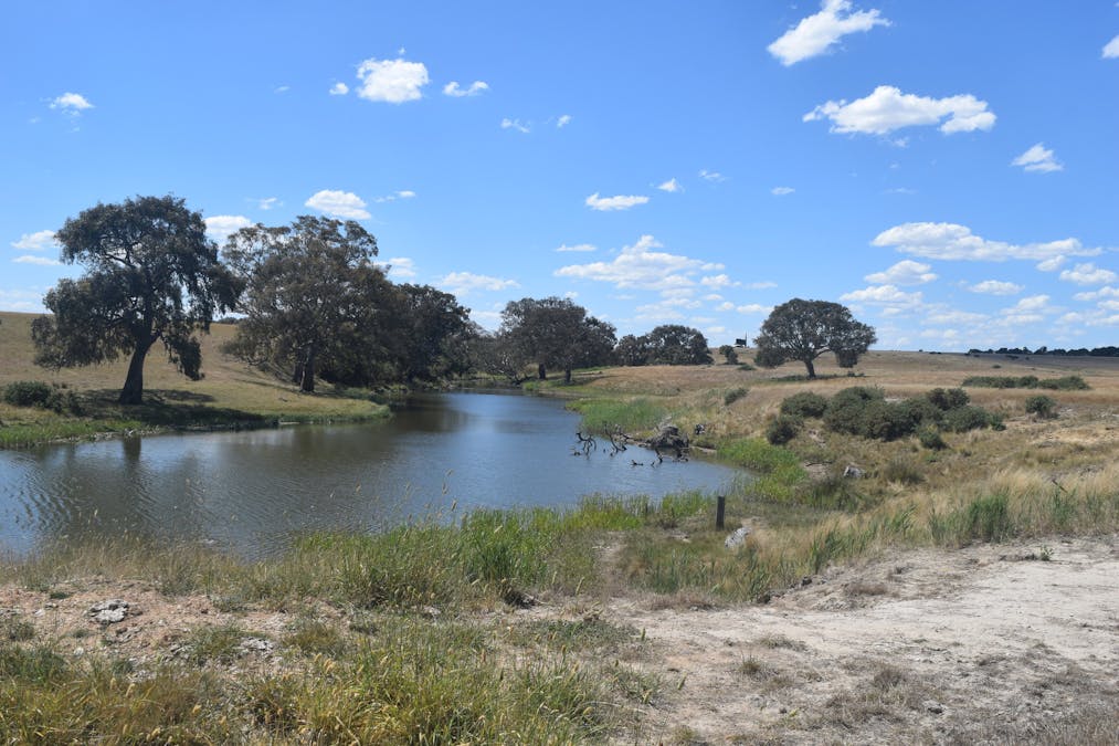 785 Smarts Hill Road, Bo Peep, VIC, 3351 - Image 25