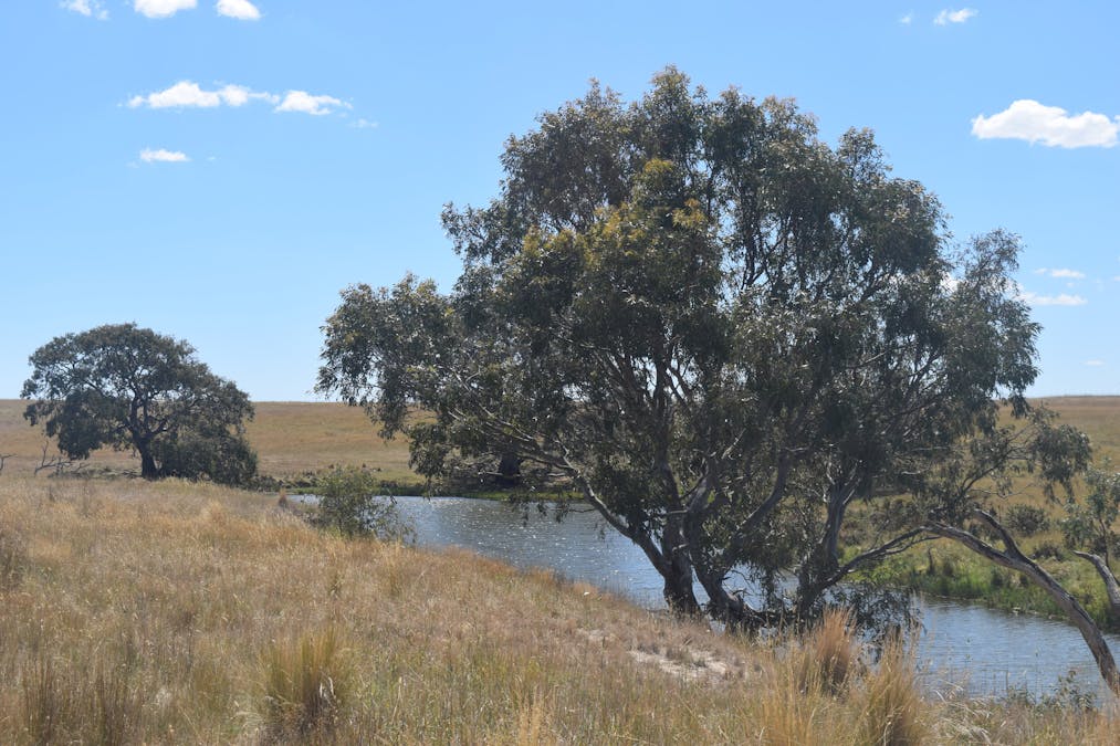 785 Smarts Hill Road, Bo Peep, VIC, 3351 - Image 26