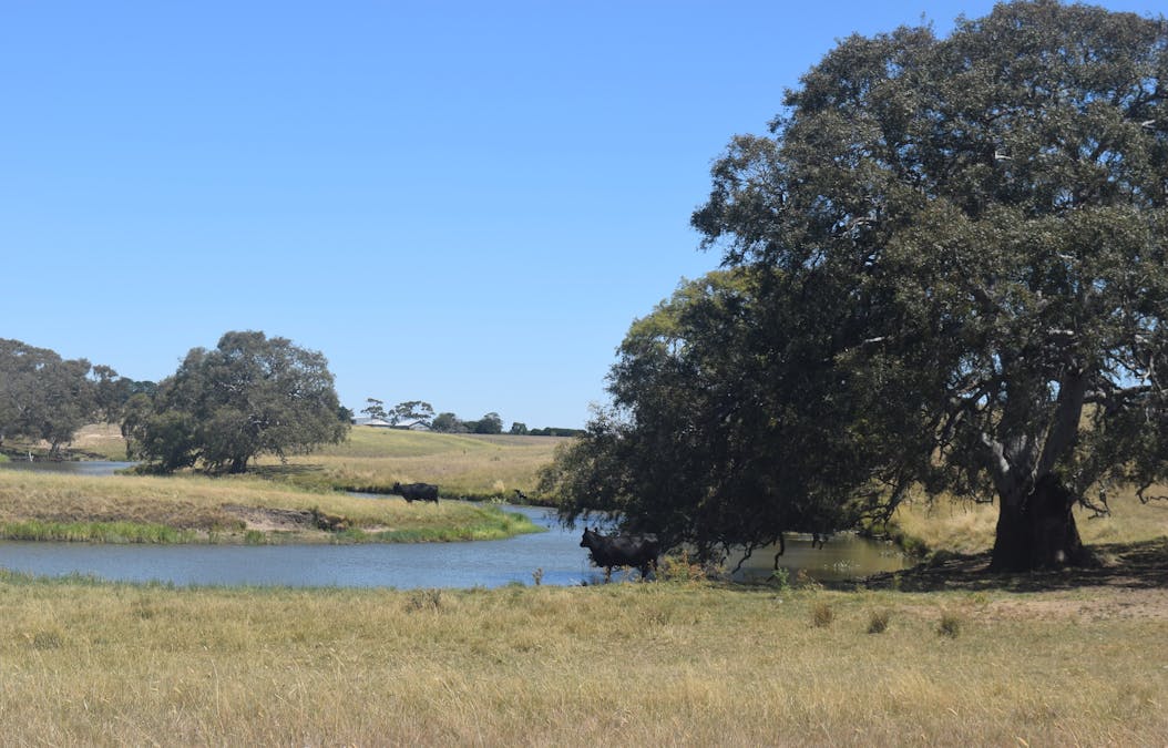 785 Smarts Hill Road, Bo Peep, VIC, 3351 - Image 27