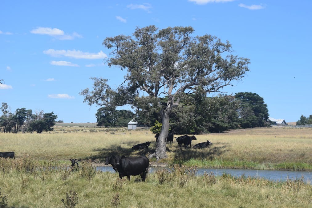 785 Smarts Hill Road, Bo Peep, VIC, 3351 - Image 21