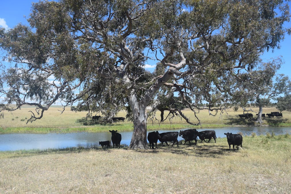 785 Smarts Hill Road, Bo Peep, VIC, 3351 - Image 23