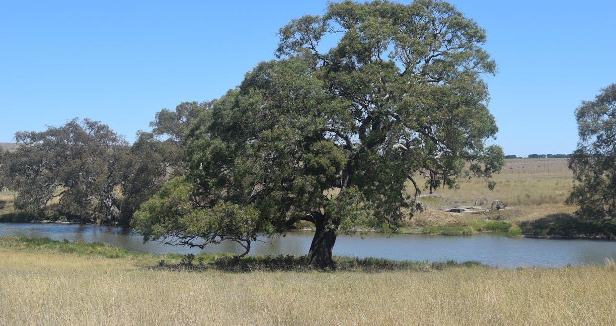 785 Smarts Hill Road, Bo Peep, VIC, 3351 - Image 28