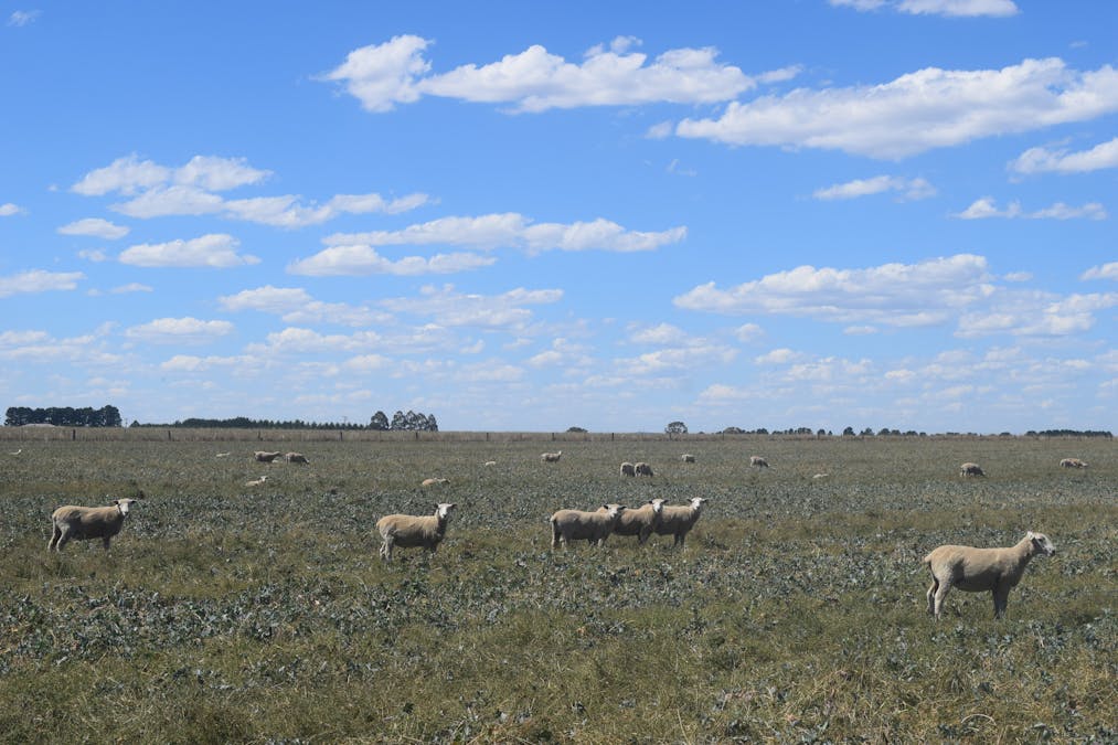 785 Smarts Hill Road, Bo Peep, VIC, 3351 - Image 24