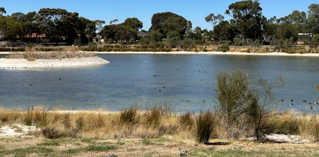 9 Kaatanup Loop, Katanning, WA, 6317 For Sale Elders Real Estate