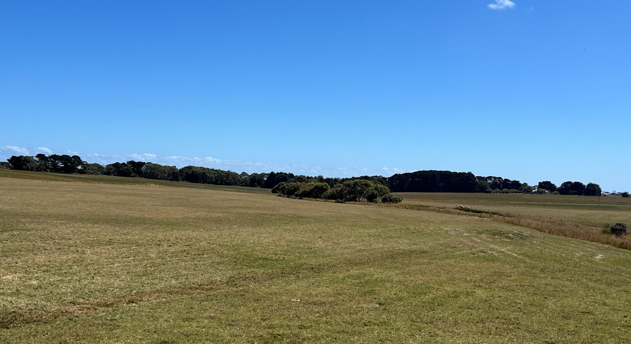 Lot 2, 548 Curdievale-Port Campbell Road, Port Campbell, VIC, 3269 - Image 2