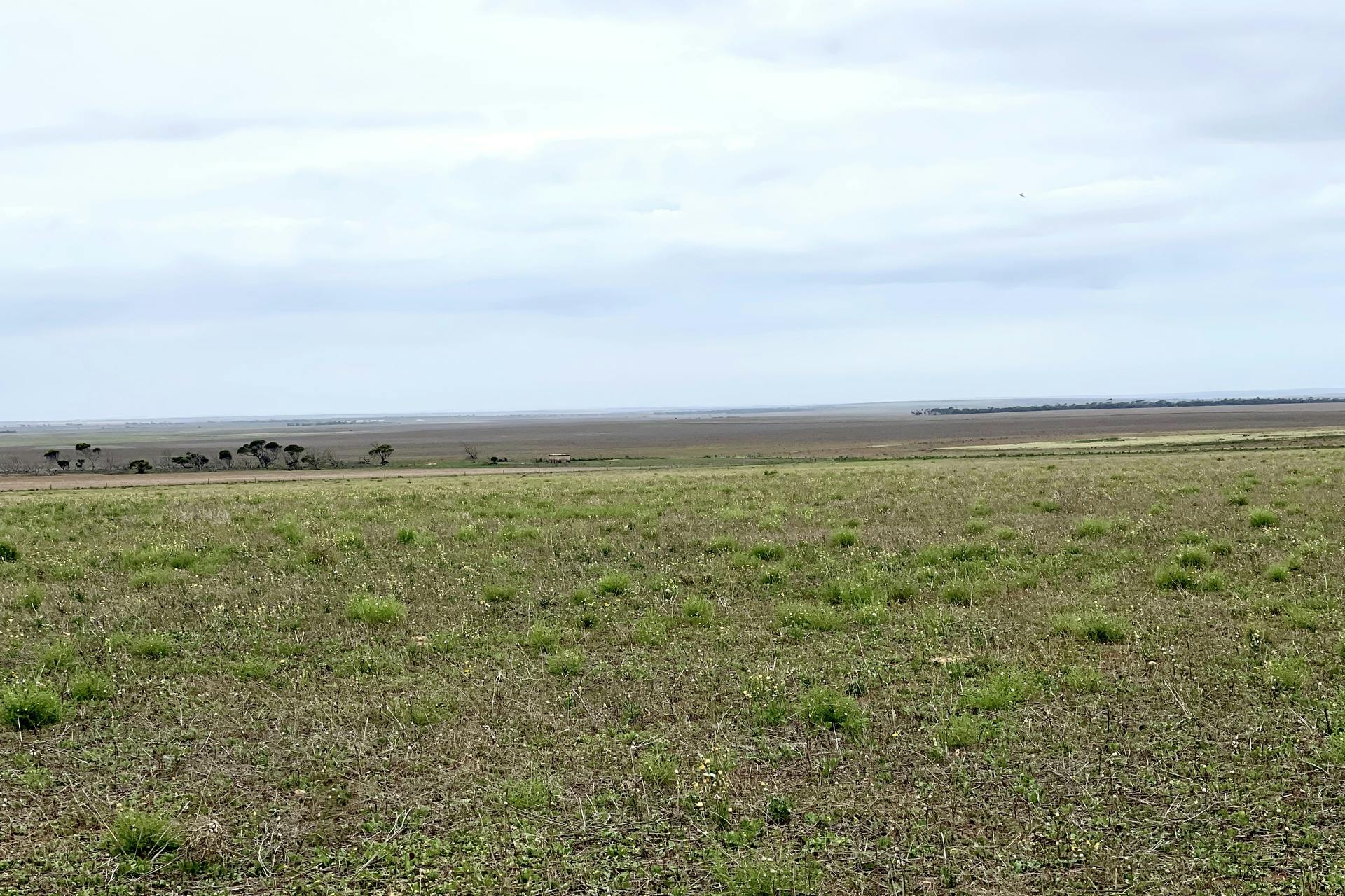 606 Wire Gate Tank Road, Ceduna, SA, 5690 For Sale Elders Real Estate