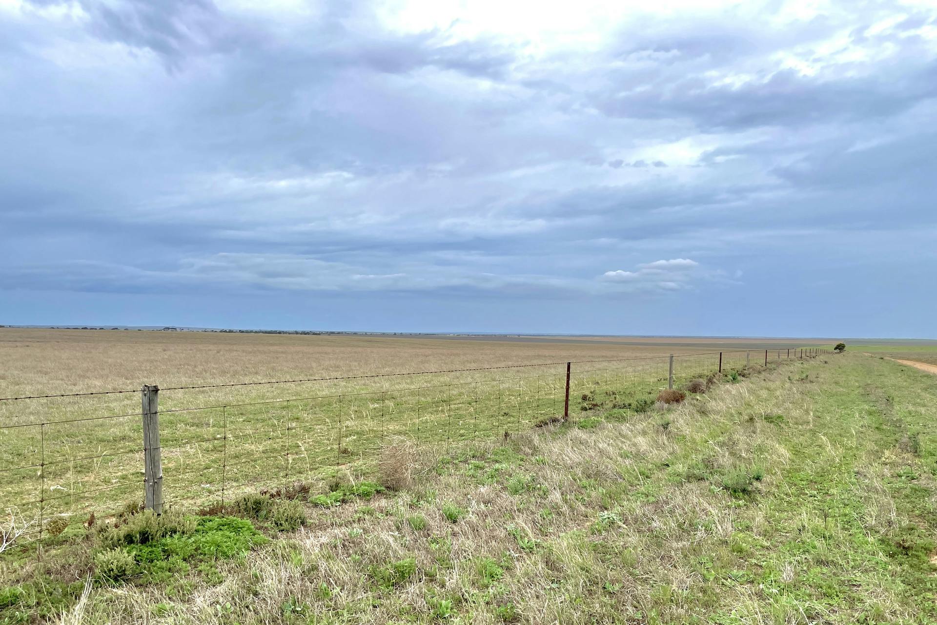 606 Wire Gate Tank Road, Ceduna, SA, 5690 For Sale Elders Real Estate