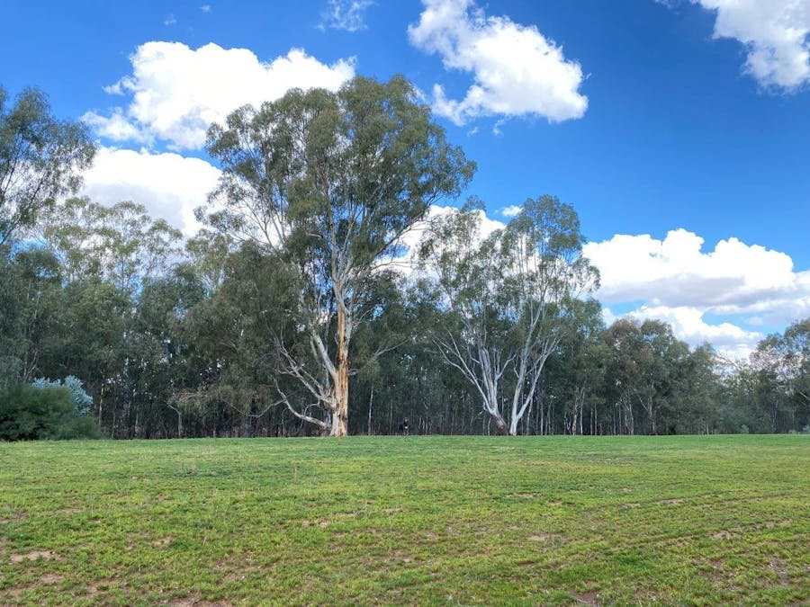 142 Benarca Forest Road, Moama, NSW, 2731 - Image 15