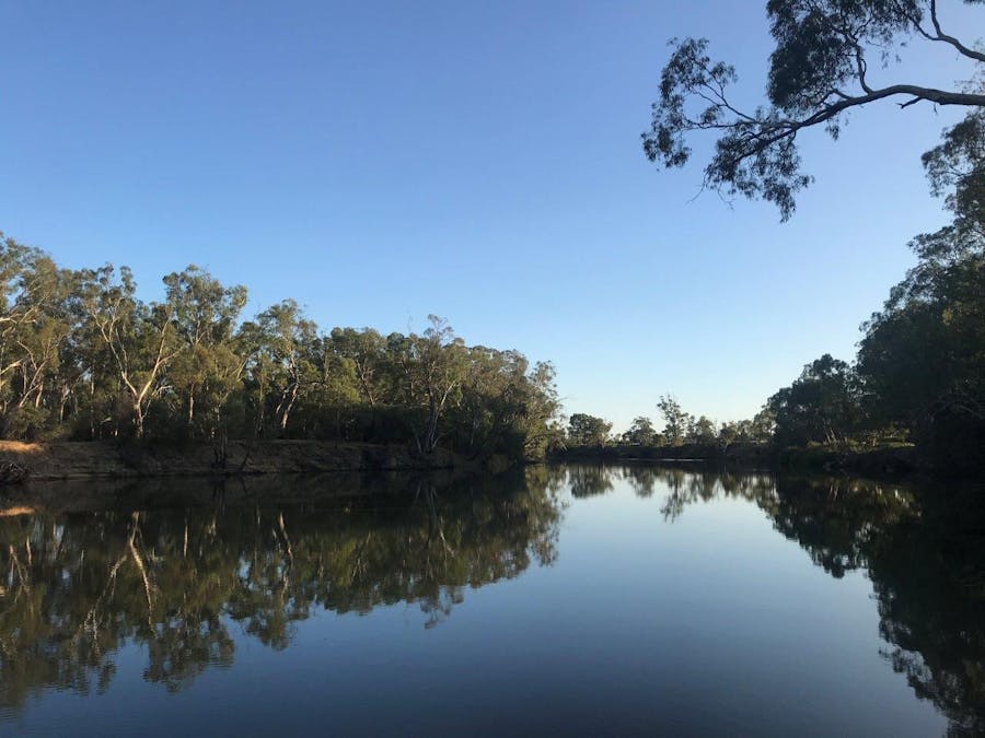 142 Benarca Forest Road, Moama, NSW, 2731 - Image 5