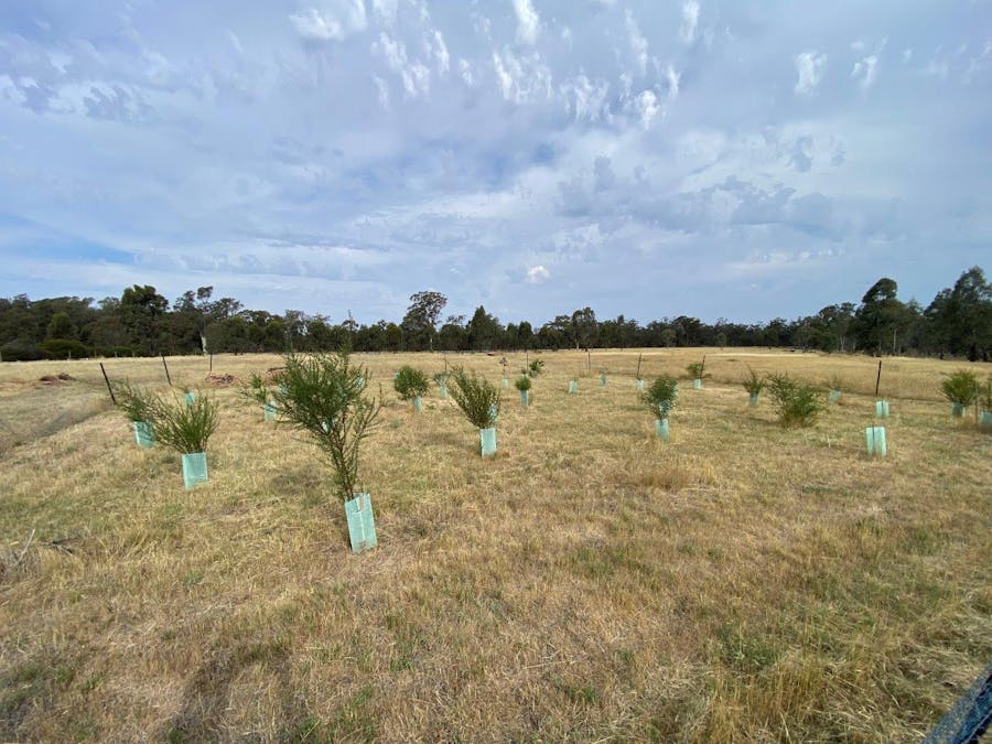 142 Benarca Forest Road, Moama, NSW, 2731 - Image 18