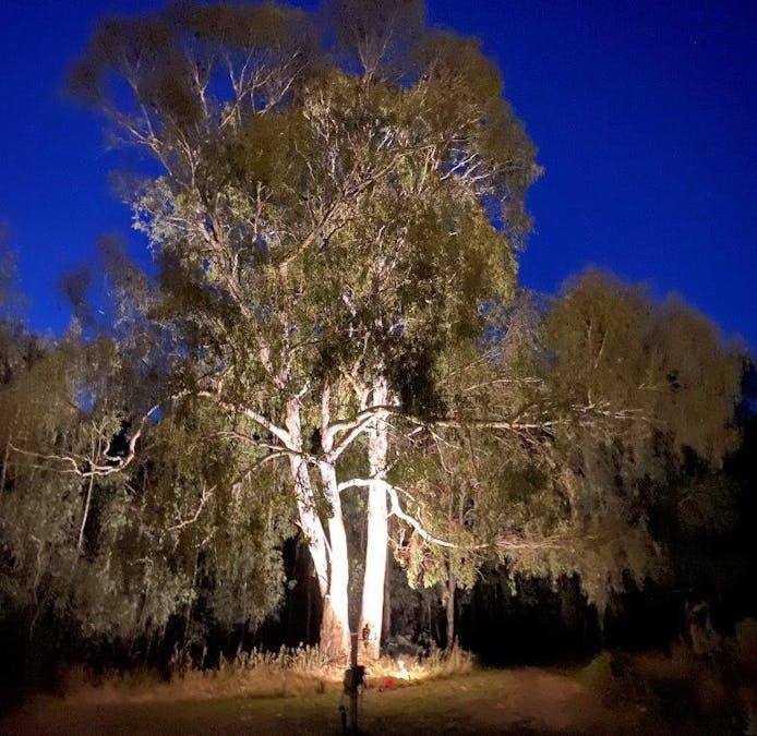 142 Benarca Forest Road, Moama, NSW, 2731 - Image 19