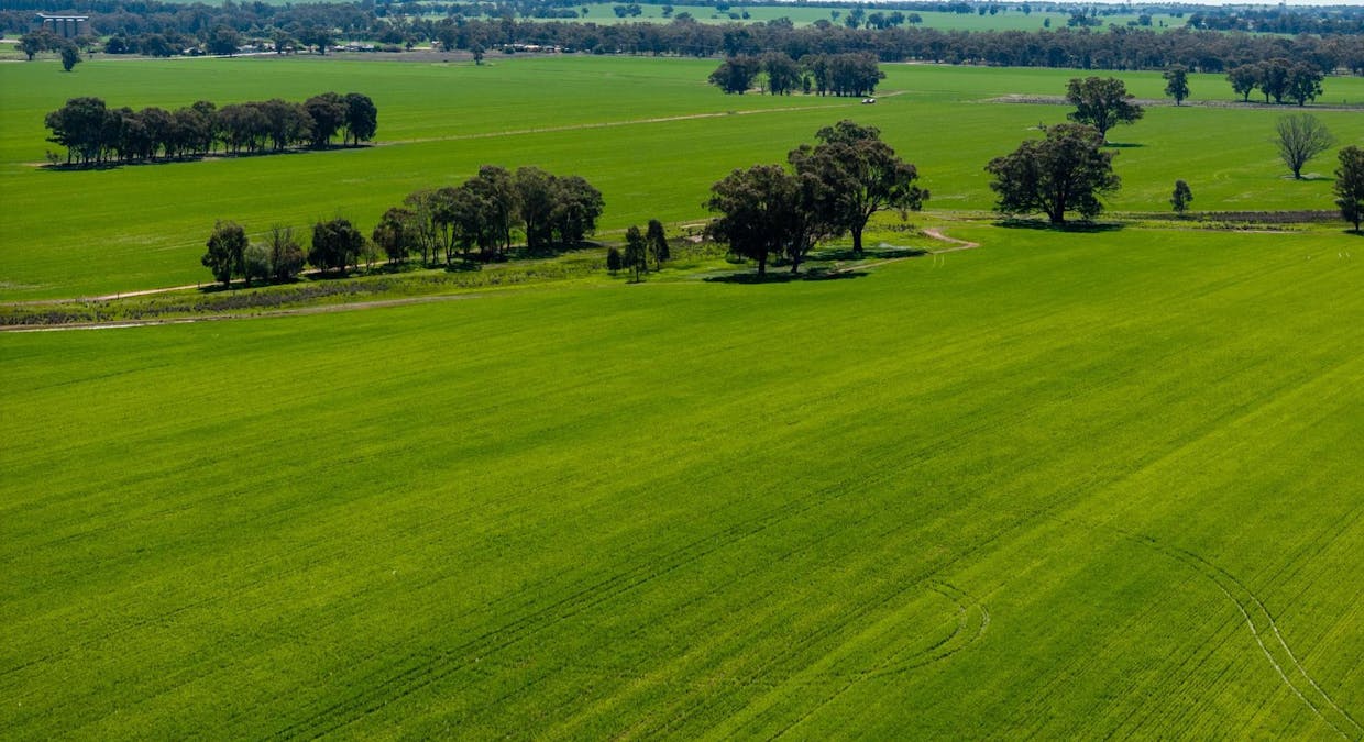 120 Erinvale Lane, Milbrulong, NSW, 2656 - Image 1