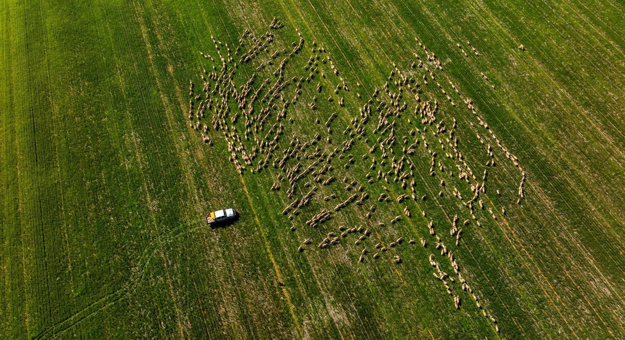 120 Erinvale Lane, Milbrulong, NSW, 2656 - Image 8