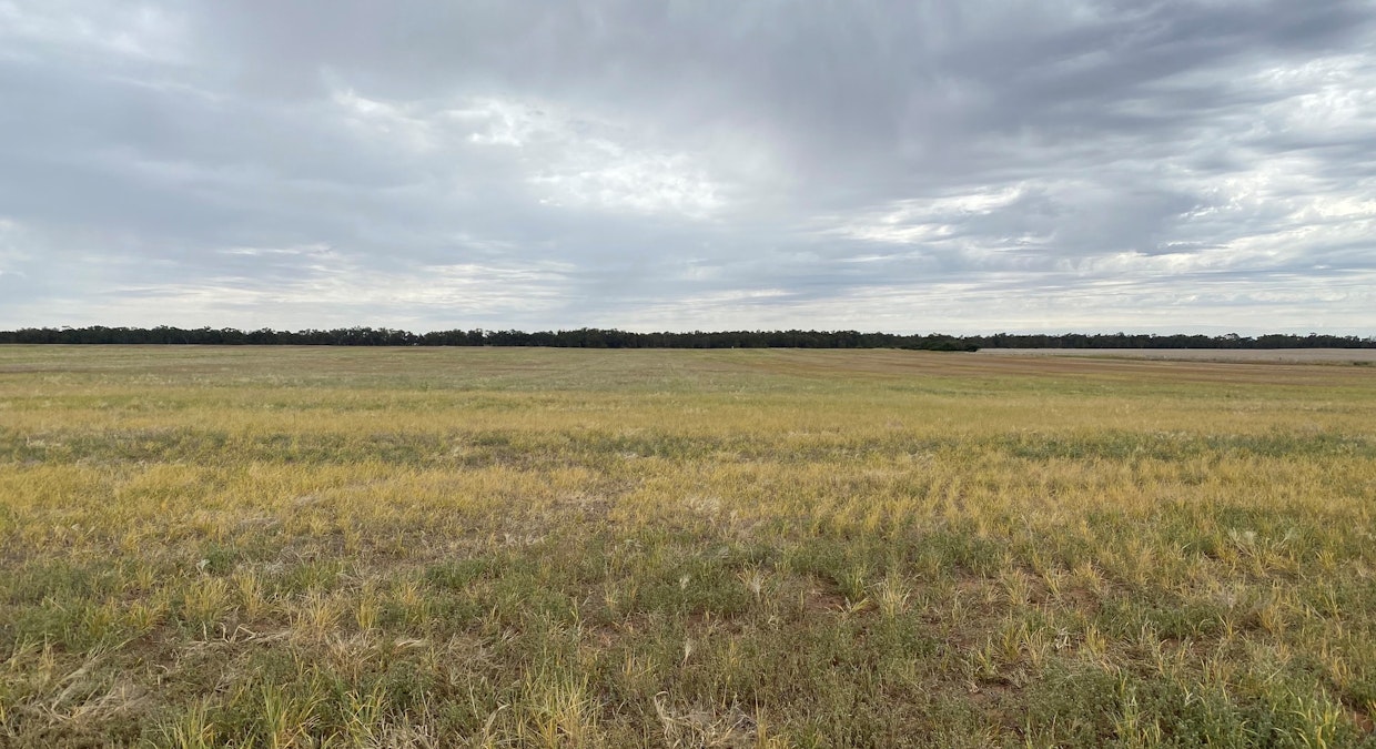 Donald-Stawell Road, Rich Avon East, VIC, 3480 - Image 3