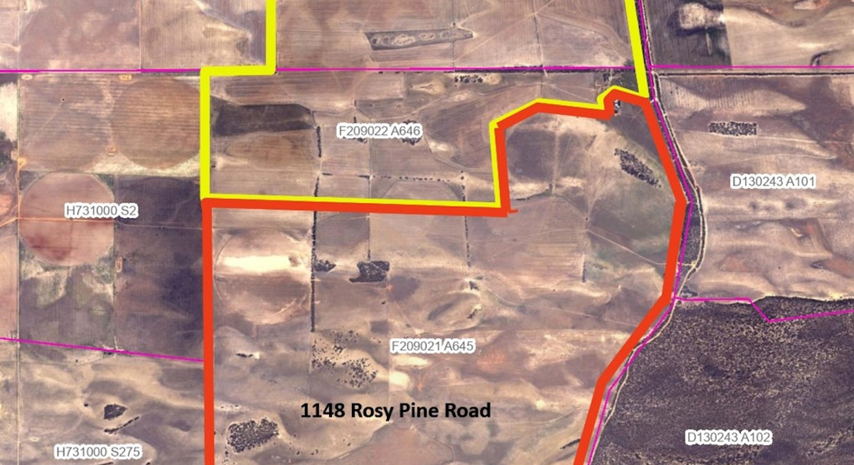 1140, 1148 Rosy Pine Road, Pinnaroo, SA, 5304 - Image 1