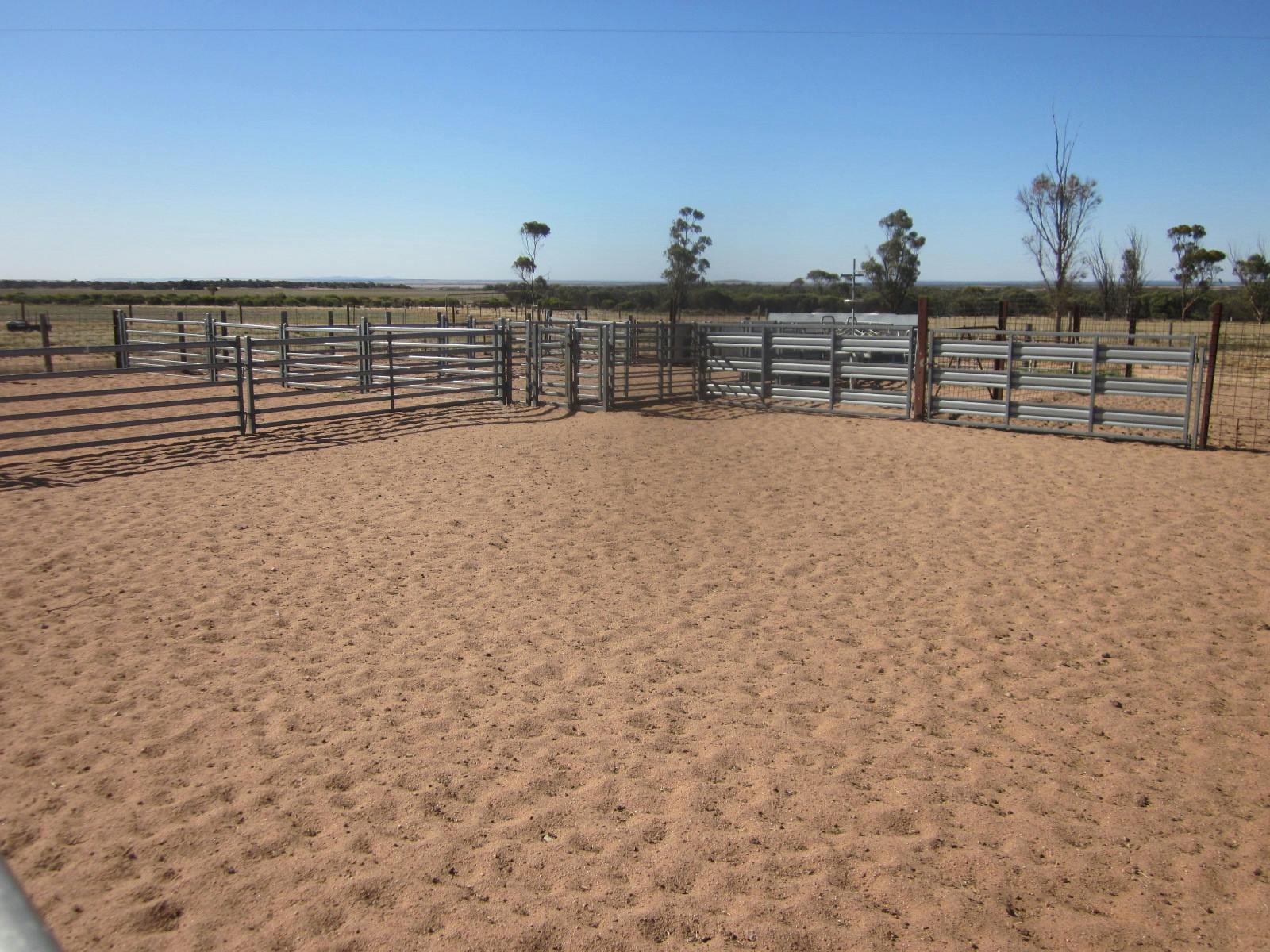 5465 CowellKimba Road, Yalanda, SA, 5641 Sold Elders Real Estate