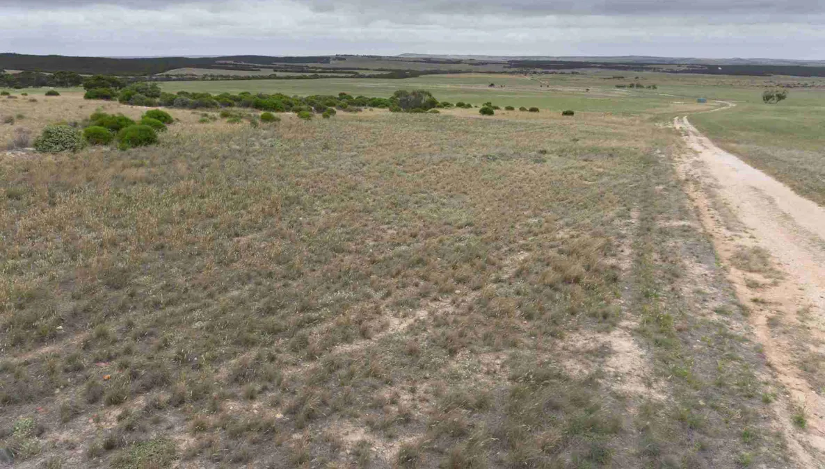 5465 Cowell-Kimba Road, Yalanda, SA, 5641 - Image 5