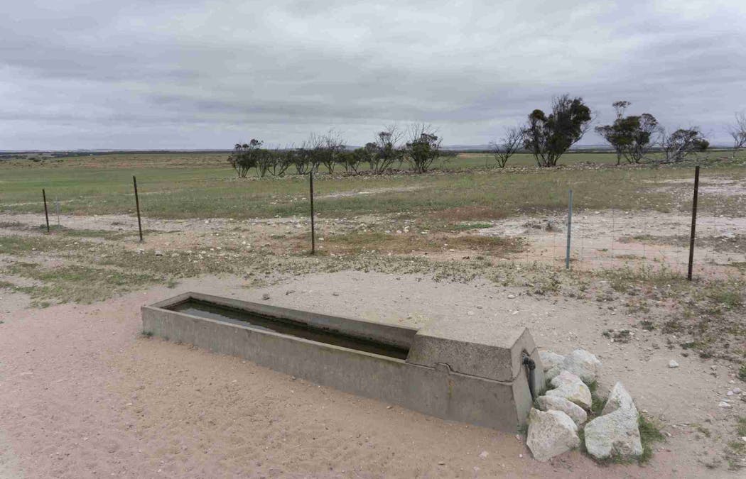 5465 CowellKimba Road, Yalanda, SA, 5641 Sold Elders Real Estate