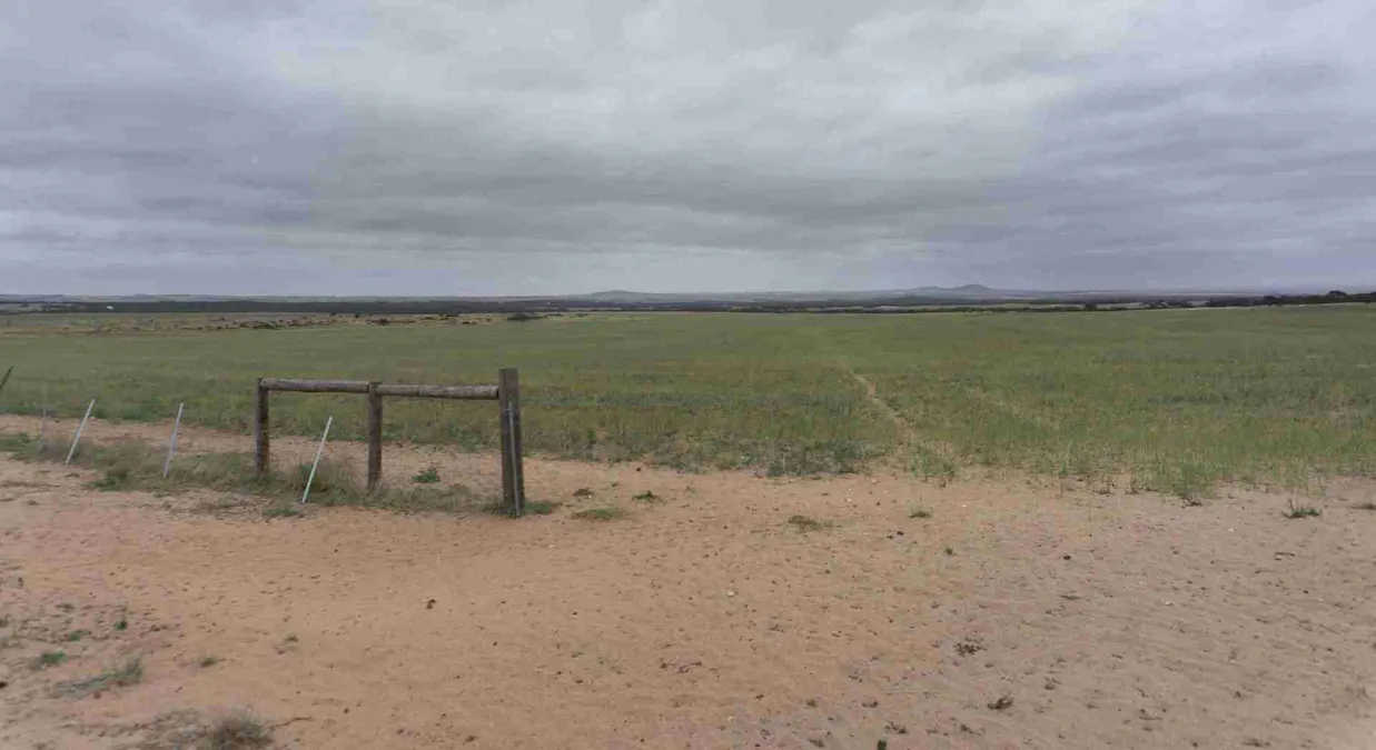 5465 Cowell-Kimba Road, Yalanda, SA, 5641 - Image 8