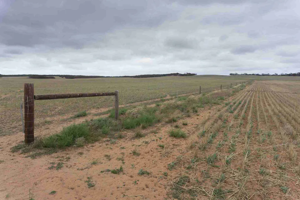5465 Cowell-Kimba Road, Yalanda, SA, 5641 - Image 9