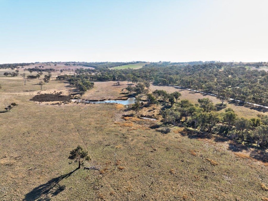 Milvale Road, Young, NSW, 2594 - Image 14