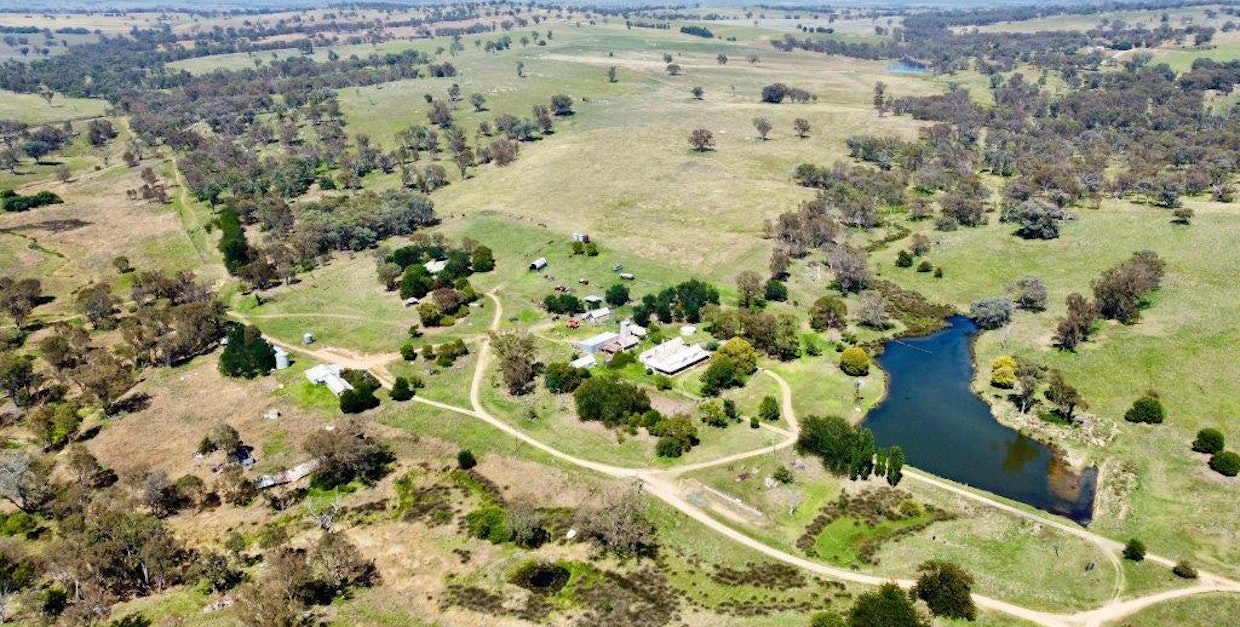 Milvale Road, Young, NSW, 2594 - Image 25
