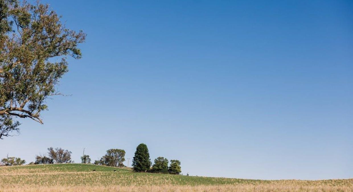 Milvale Road, Young, NSW, 2594 - Image 28