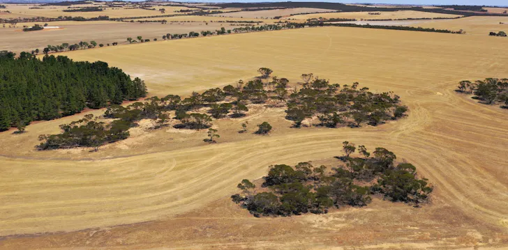 Rifle Range Road, Kukerin, WA, 6352